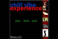 The Chill Vibe Experience/Infinite Rhythms